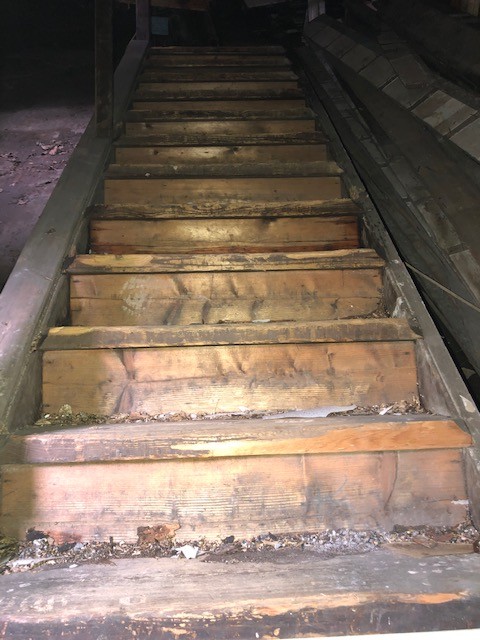 Stairs - Victorian pine staircase or steps - 12 treads.