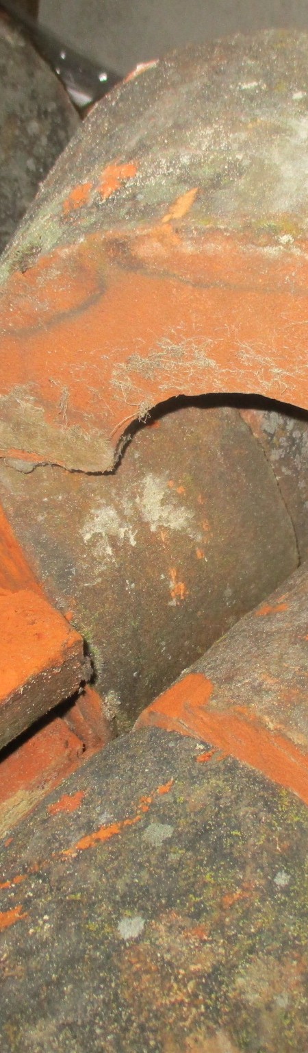 Half round copings - red