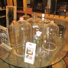 Bell jars and large bottles always in stock