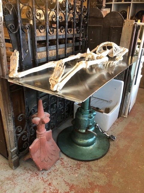 Table - veterinarian , operating , examination