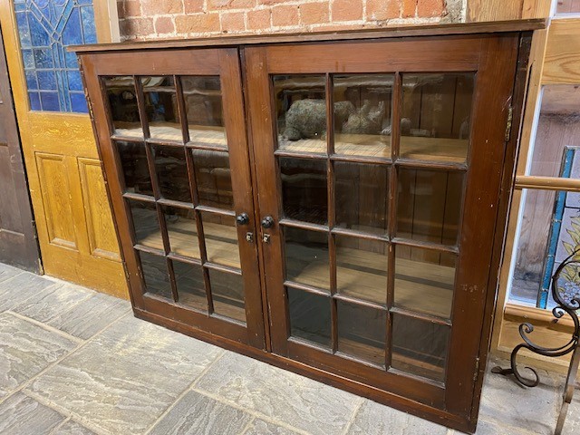 Display Cabinet - University of Manchester Zoology Department.
