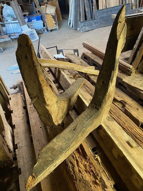 Oak Knees or Elbows - natural shaped.